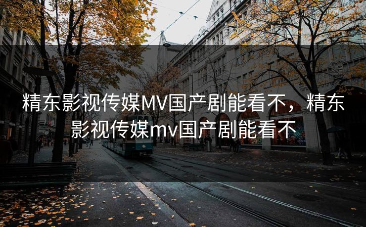 精东影视传媒MV国产剧能看不，精东影视传媒mv国产剧能看不
