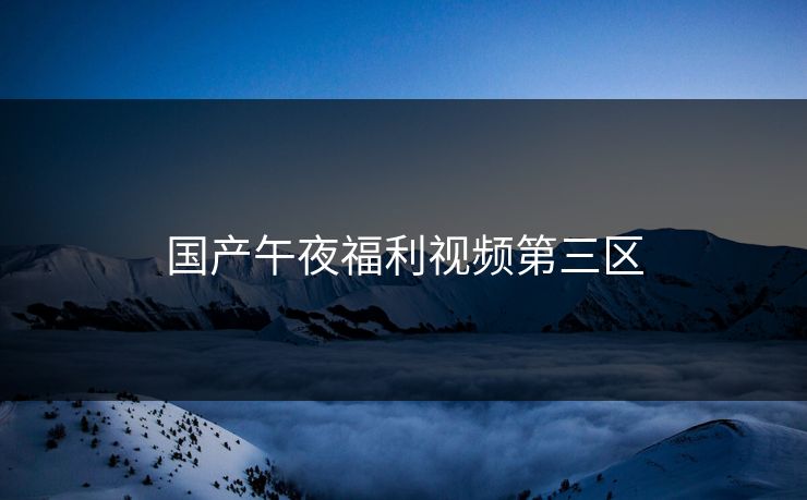 国产午夜福利视频第三区