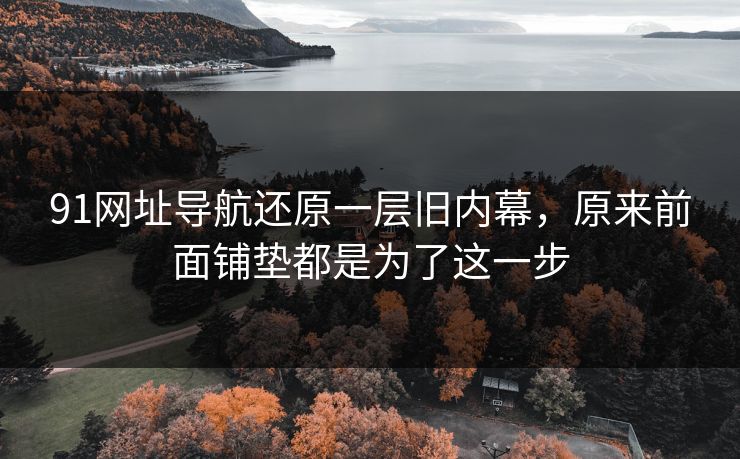 91网址导航还原一层旧内幕,原来前面铺垫都是为了这一步 91网址导航还原一层旧内幕,原来前面铺垫都是为了这一步